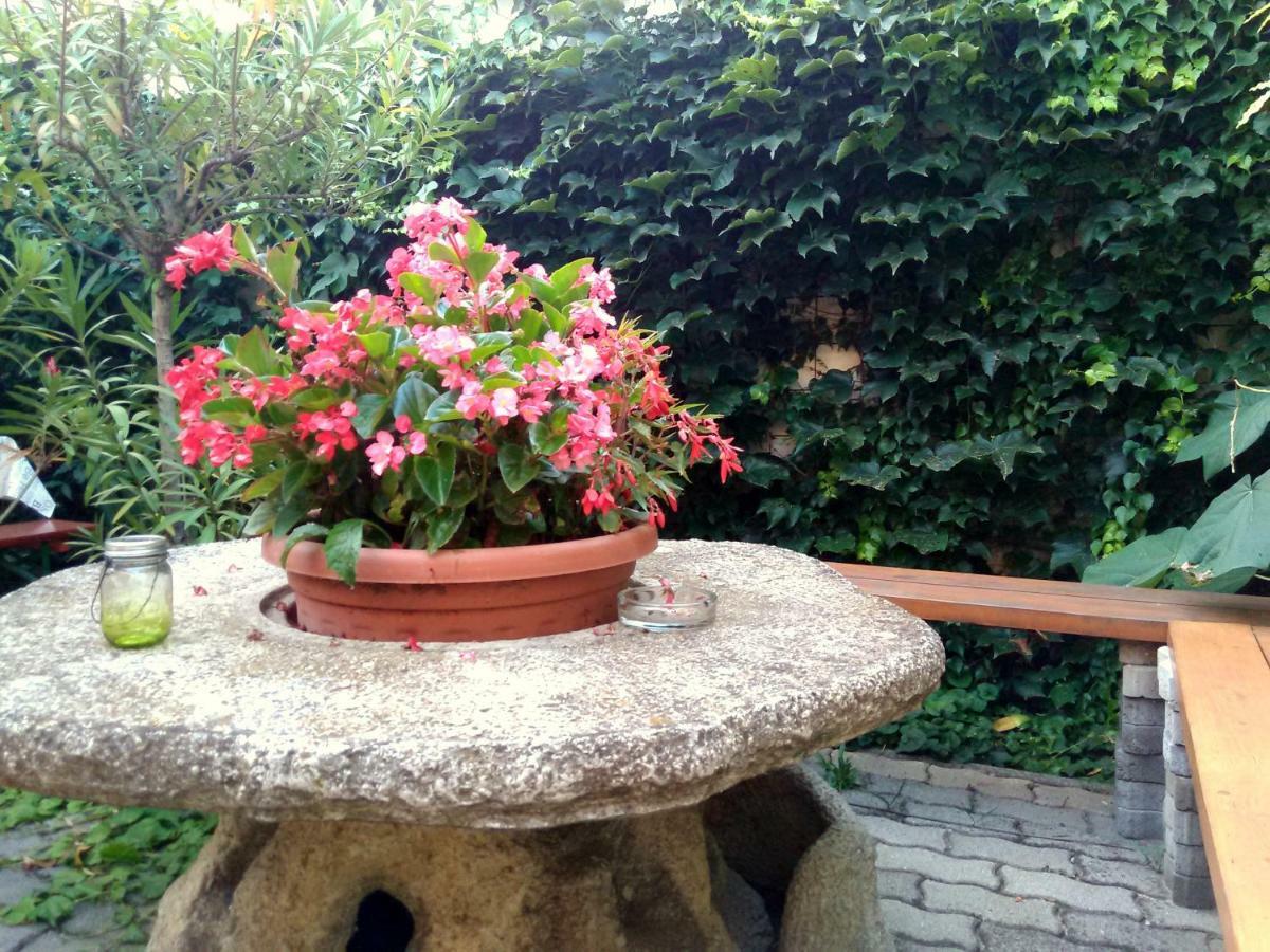 Burg Apartman Gyula Esterno foto